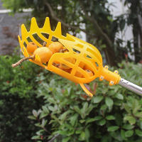 Cabezal recolector de frutas de plástico, herramienta de recolección de Jujube, Bayberry, jardín, huerto, granja, alta altitud - details 14