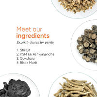 Nuevo producto: 60 piezas de gomitas Xilaizhi fuente SHILIT - details 8