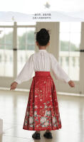 Falda Ma Mian Hanfu conjunto mejorado estilo chino antigua dinastía Ming disfraz Tang verano para niños - details 12