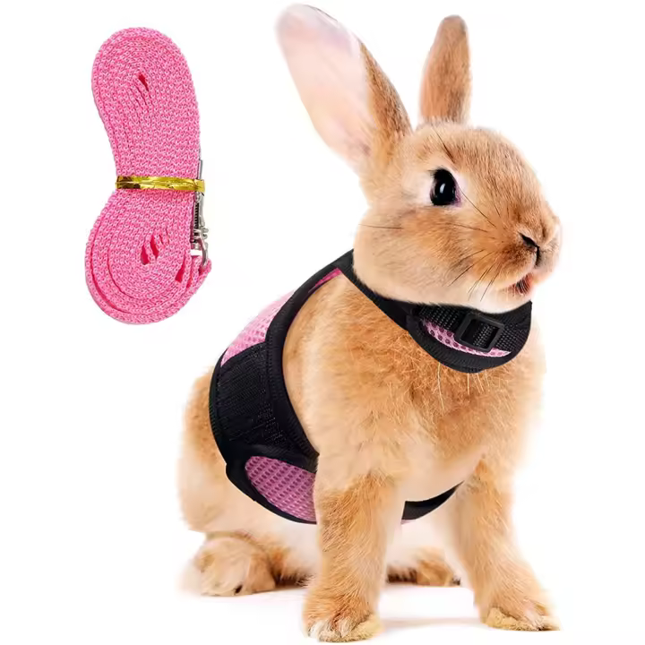 SSITO Arnés de Malla elegant para Conejos, Chaleco para hámster con Plomo elástico, rosa, L - 1