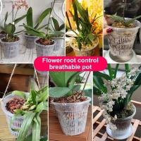 Macetas de orquídeas de plástico transparente para flores, lavabo transpirable, macetas de orquídeas, Control de raíces, maceta de escritorio transparente - details 7