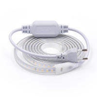 Tira de luces LED de 220V, cinta de lámpara Flexible de alto brillo, resistente al agua, con interruptor, para decoración de cocina, jardín y habitación al aire libre, 2835 - details 2