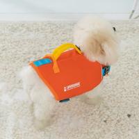 Chaleco salvavidas ajustable para natación de mascotas, chaleco de seguridad de poliéster con superflotabilidad, ropa reflectante para salvar vidas para perros - details 16