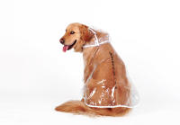 HOOPET-chubasquero para perros grandes y medianos, ropa impermeable para mascotas, chaqueta informal para cachorros - details 9