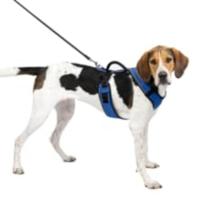 El arnés EasySport elimina el roce y las rozaduras durante las caminatas con su acolchado