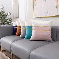 Funda de Cojín de Terciopelo ANUMEI 30x50cm 45x45cm Cubierta Decorativa para Sofá y Cama Estilo Rosa y Gris Fabricado en China - details 2
