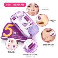 Sistema de rodillos de belleza 6 en 1, instrumento de agujas cosméticas y para el cuidado de la piel de titanio para la cara - details 11
