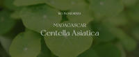 SKIN1004 Suero facial en ampolla de Centella asiática de Madagascar 3.38 fl.oz(100ml) - details 6