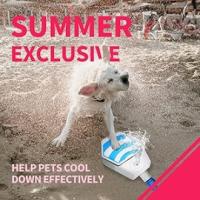 Dale a tu mascota el mejor compañero este verano