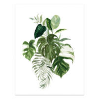 Pintura Nórdica en Lienzo de Monstera Hojas Botánicas Decoración Artística de Pared para Dormitorio Marca DHROOM Material Lienzo - details 5