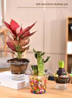 Maceta de plástico transparente para plantas con riego automático, cuadrado, nuevo diseño, para jardín - details 2