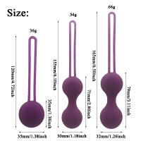 Kegel-bola vaginal retráctil femenina, ajuste vaginal, mancuerna vaginal de silicona, bola inteligente, conjunto de tres piezas posparto - details 1