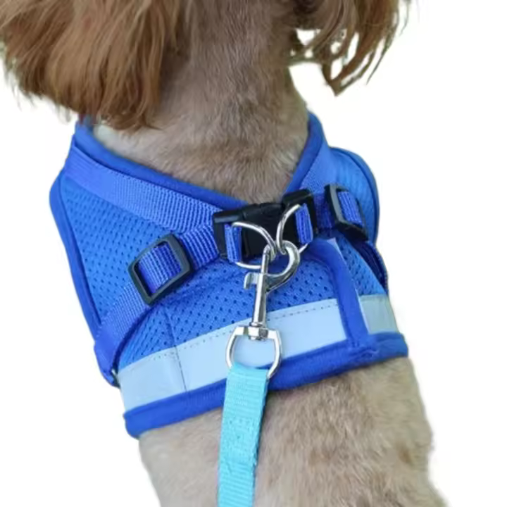 Correa Ajustable para Perros Correa de Arnés de Malla con Cuerda de Tracción XS/S/M/L/XL - 1