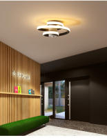 LEFAN-Luz LED de techo moderna para pasillo, luz de entrada Simple para balcón, Estilo espiral, 25CM - details 12