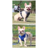 Conjunto de Arneses y Correa para Perros sin Tirones Chaleco Ajustable con Arneses para Mascotas Pequeñas y Medianas, Correa para el Pecho de Malla Reflectante - details 4