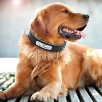 perro personalizado cuero PU, Collar de cachorro personalizado, collares mascotas grabados gratis para perros pequeños, medianos - details 14