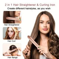 Plancha de pelo 2 en 1, rizador, plancha de cerámica de calentamiento rápido, plancha alisadora de pelo, plancha de pelo profesional - details 1