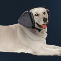 Orejeras para mascotas, protección auditiva ajustable, protección para los oídos de mascotas, antiruido, cómodos auriculares con cancelación de ruido para perros - details 8