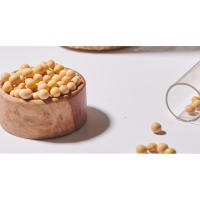 soybean ferment extract