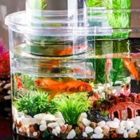 Pantalla clara, tanque de peces de presión negativa, plástico, ahorro de espacio, pequeño tanque de peces dorados, pecera inastillable, decoración de oficina - details 5