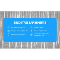 Birch Toner
