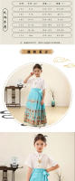 Nuevo conjunto Hanfu con cara de caballo para niñas, estilo Tang antiguo chino Ming para niños, primavera y verano diarios - details 2