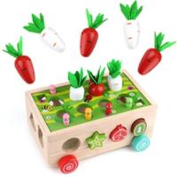 Carrot Harvest Game