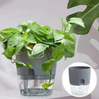 Plástico usado autoirrigación de plantas hidropónicas, ETEros en jugoso ETA, decoración de escritorio transparente para hogares y oficinas - details 2