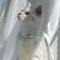 Collar ajustable para mascotas, decoraciones dulces, collar de perlas para gato, colgante de princesa, joyería para gato, suministros para mascotas - details 12