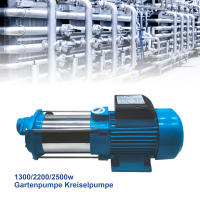 Bomba de agua de refuerzo centrífuga, 1 ", 2200W, 1300W, bomba de jardín con interruptor de presión - details 1