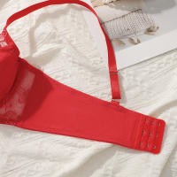 Sedujoso Brago de Encaje con Taza Grande Estilo Europeo para Damas en Rojo - details 1