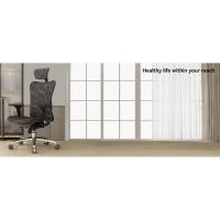 Silla de Oficina Ergonómica Resalto Alto, Transpirable, Silla de Malla con Apoyabrazos 3D y Soporte Lumbar Ajustable (Gris) - details 0