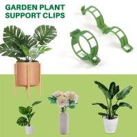 Clips de soporte para plantas de jardín, pinzas para tomate, enrejados, para flor de pepino, vid de Squash, diámetro interior de 1 pulgada, 200 piezas - details 7