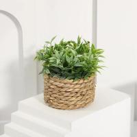 Plantas artificiales de Eulyptus, material de pila de hierba tejida de 11cm, decoración del hogar - details 14
