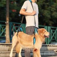 Correa de Protección para Perros Equipo de Apoyo para Perros Mayores Correa Auxiliar para Paseos de Perros Deshabilitados - details 4