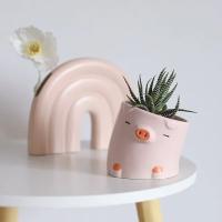 Macetas de Dibujos Animados de Plantas Suculentas Pequeñas Flores para Decorar tu Escritorio - details 2