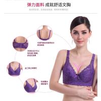 Seduce con Encaje y Látex Top de Lencería de Talla Grande con Hilo Interior - details 45