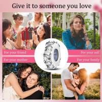 Encanto de Cuentas de Plata de Ley S925 100% Originales para Mujer Joyería DIY Material Principal de Zirconio Pulsera Ajuste de 3mm - details 50