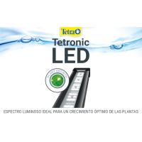 Tetra Tetronic