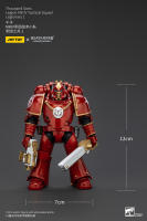 JOYTOY Figura de Acción Horus Heresy Legión de Mil Hijos del Tacticante MK IV - details 20