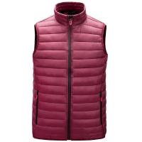 Chaleco para hombre, plumón, invierno 2024, calidad - details 8