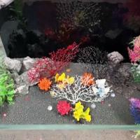 Adornos de resina para acuario, arrecife de Coral, artesanía colorida, paisaje de pecera, decoración, accesorios de plantas acuáticas artificiales simuladas - details 1