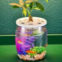 Recinto para tortugas, pecera transparente pequeña transparente inastillable con tapa, acuario para tortugas, terrario de plástico para tortugas, decoración de oficina - details 7