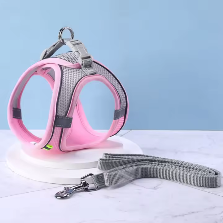 Conjunto de Correa de arnés ajustable para perros pequeños Ideal para cachorros, Chihuahuas, Bulldogs Correa para paseos al aire libre - 1