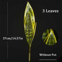Planta de serpiente artificial Sansevieria, 32/37 cm, halcón verde, aloe vera, cera, lirio, lámina de plástico, lengua de dragón falsa para - details 4