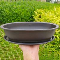 Plantas jugosas cuadradas, ovaladas, hexagonales, bonsái, pequeño éter de plástico en ETA, imitación cerámica morada, venta al por mayor - details 6