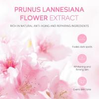 4 unids/set conjuntos de cuidado de la piel productos de crema limpiadora tóner Facial cuidado hidratante protector solar antienvejecimiento - details 8