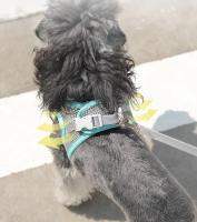 Correa reflectante para perros y gatos Set de correa de pecho transpirable duradero para paseos al aire libre Adecuado para perros y gatos pequeños y medianos - details 6