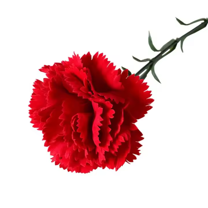 Claveles rojos artificiales de tacto Real, 54cm, flor de clavel de simulación hecha a mano, artesanía realista, plantas falsas, cumpleaños - 1