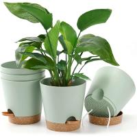 Planta de interior y exterior riego automático flor de alto drenaje ETA, con bandeja de almacenamiento, 7 pulgadas, 3 paquetes - details 7